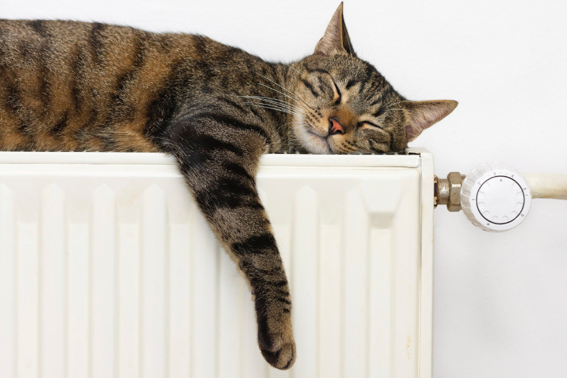 Energy Useful Tips